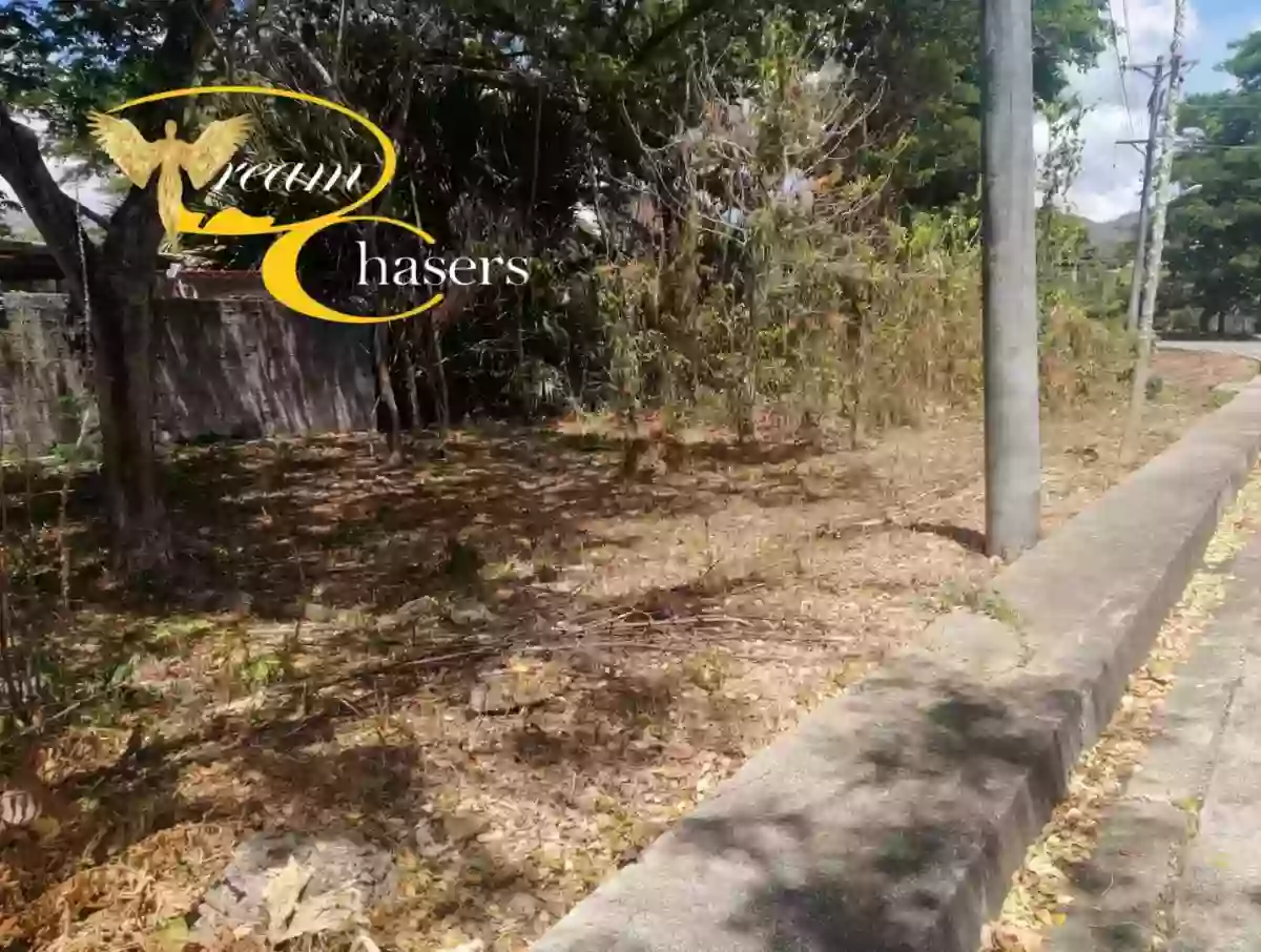 127 sqm Lot Only in Pulang-bato — Residential Lot in Cebu City, Cebu, Philippines — Photo 2