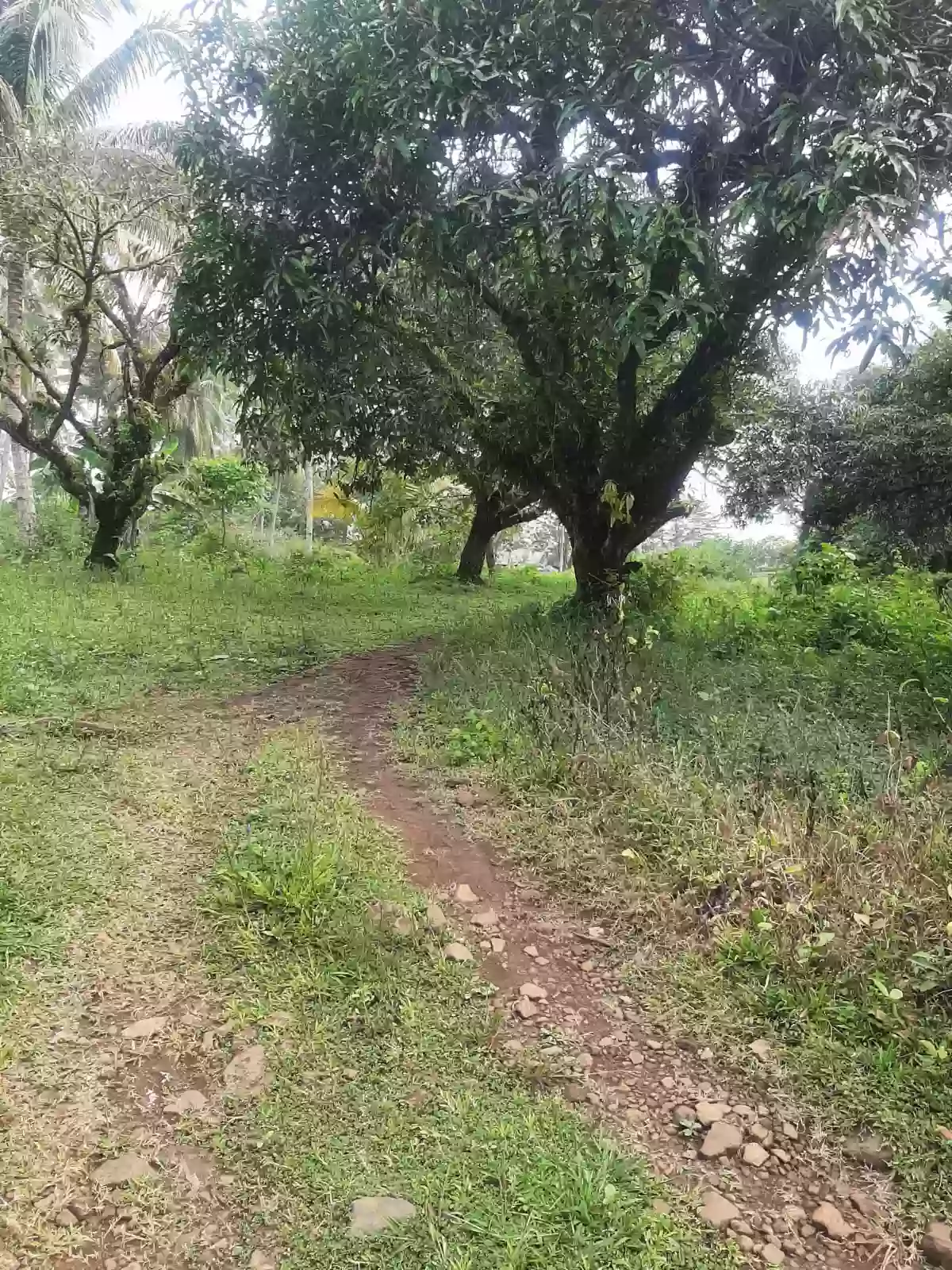 Residential lot for sale