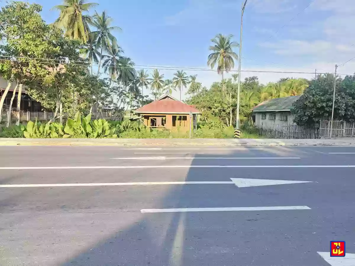 Amazing Sale! National Highway Commercial Lot in Banilad, Bacong! [available]