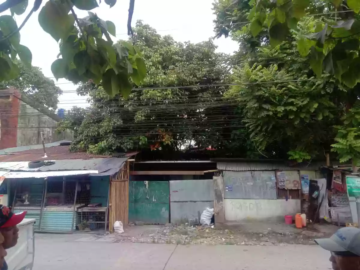 T-109414 — Commercial Lot in Lirio St., Brgy. 33, Bacolod city — Photo 3