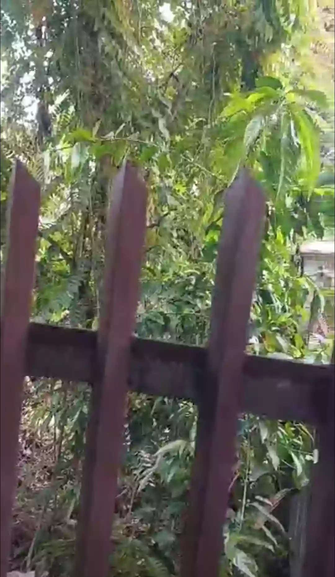 Residential or Commercial Lot — Residential Lot in Liloan, Cebu, Philippines — Photo 3