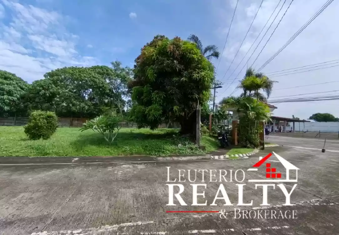 57227 — Residential Lot in Phelan Drive, Pacol, Naga — Photo 2