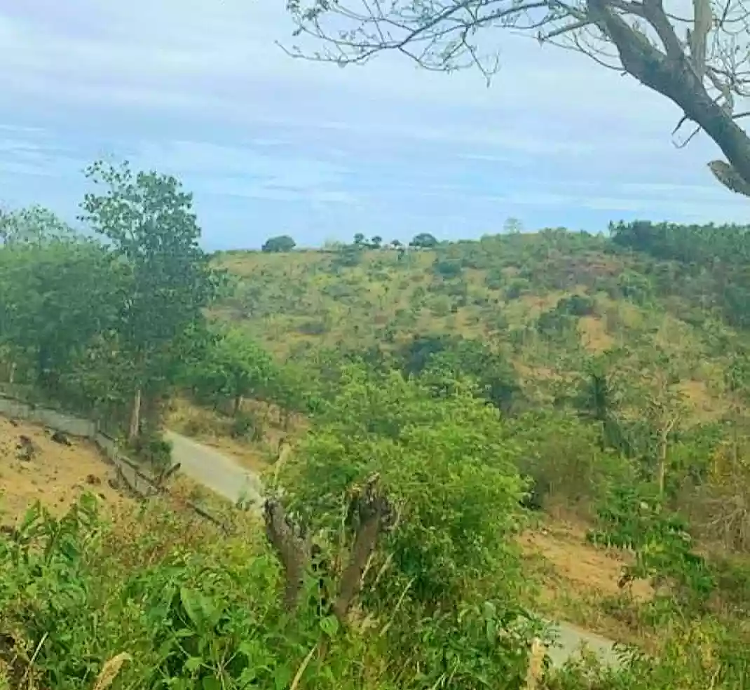Clean Title Lot For Sale in Maningcao,Sibulan,Negros Oriental — Residential Lot in Negros Oriental, Philippines — Photo 5