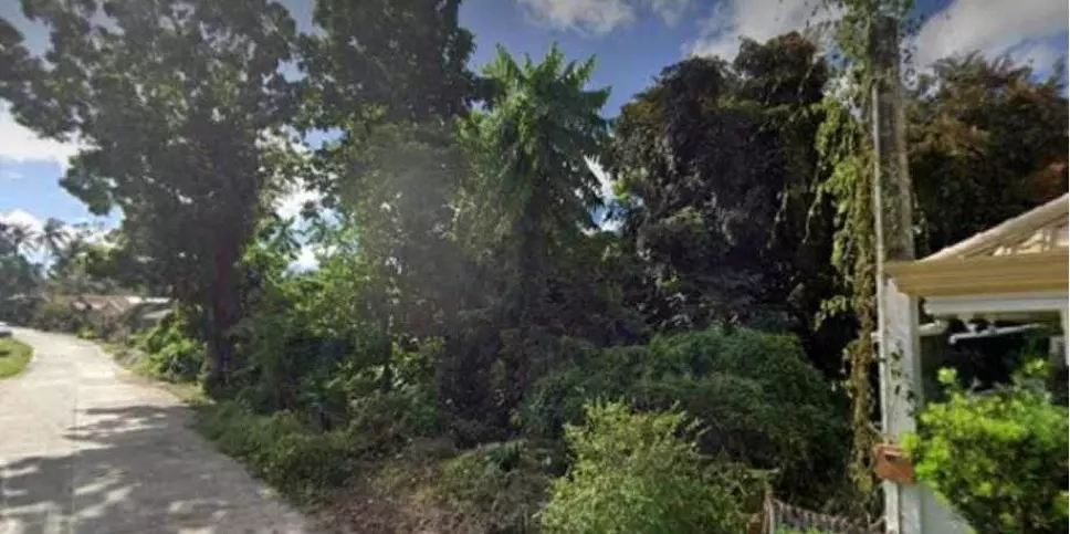 Lot for Sale in Tagbilaran City — Residential Lot in Tagbilaran City, Bohol, Philippines — Photo 2