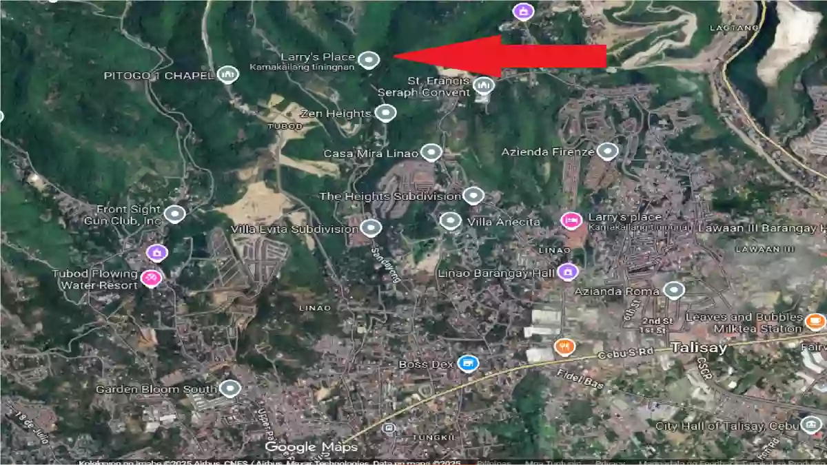 FARM LOT FOR SALE!!! — Agricultural Lot in Minglanilla, Cebu, Philippines — Photo 5