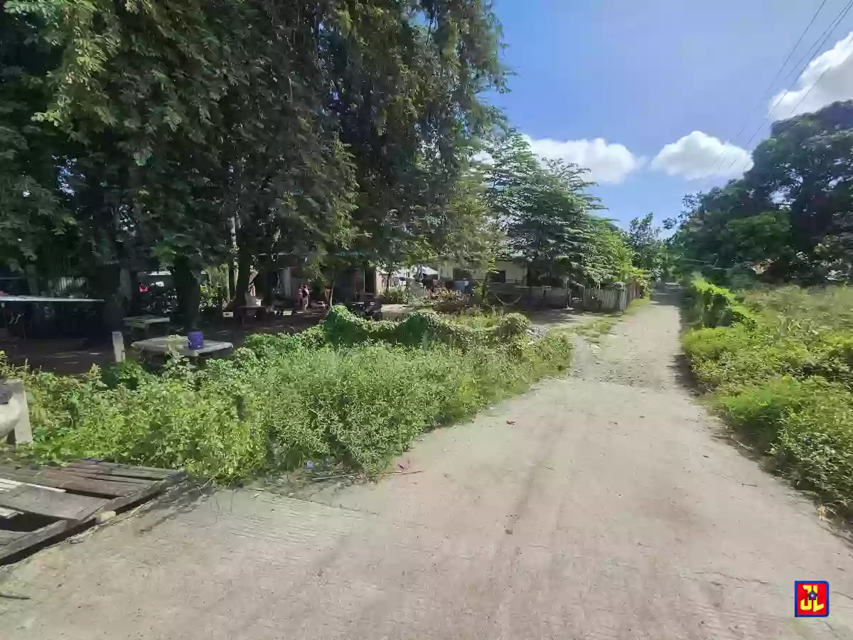Rush Sale 2nd Lot from Diversion Road Batinguel, Dumaguete [available] — Residential Lot in Dumaguete, Negros Oriental, Philippines — Photo 4