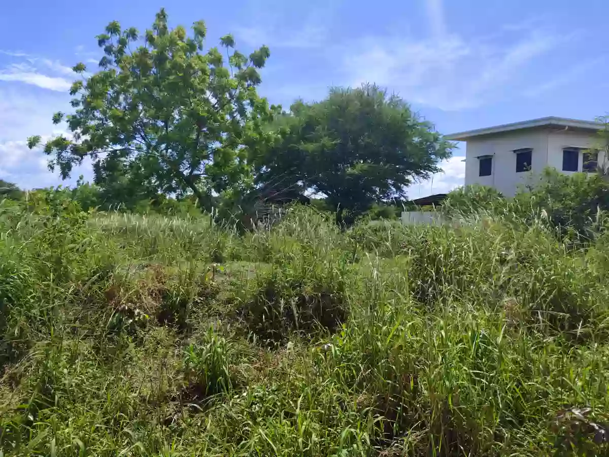 150 Titled Residential Lot in Gensan — Residential Lot in General Santos City, South Cotabato, Philippines — Photo 2
