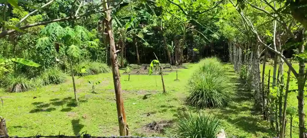 LOT FOR SALE 10mins TO BEACH