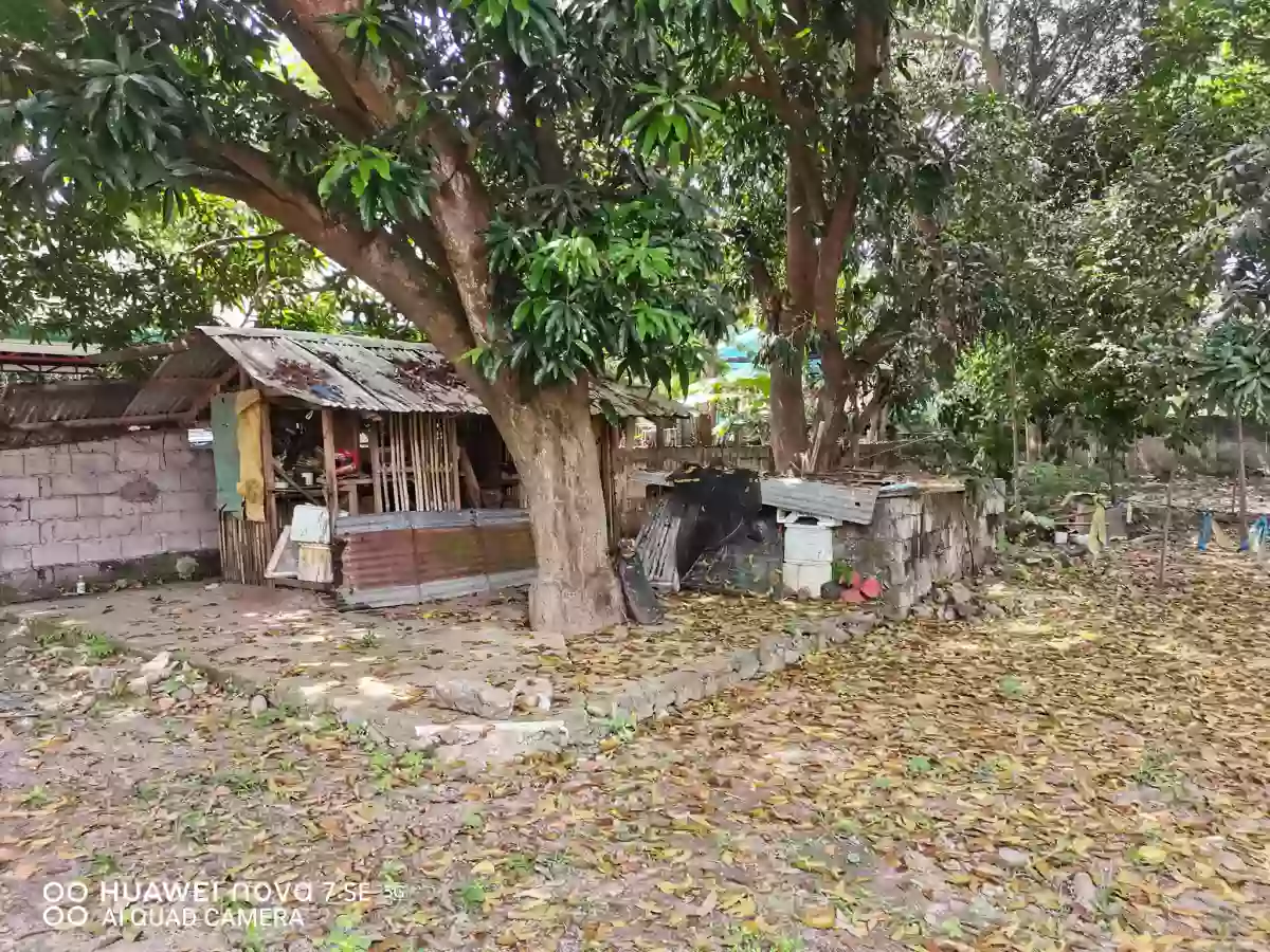 Premium Lot: Brgy. Bantayan, Dumaguete — Residential Lot in Dumaguete City, Negros Oriental, Central Visayas — Photo 4