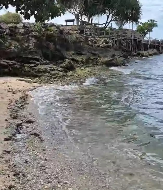 Own a Piece of Paradise – Beach Lot for Sale! — Beach Lot in Cebu, Philippines — Photo 4