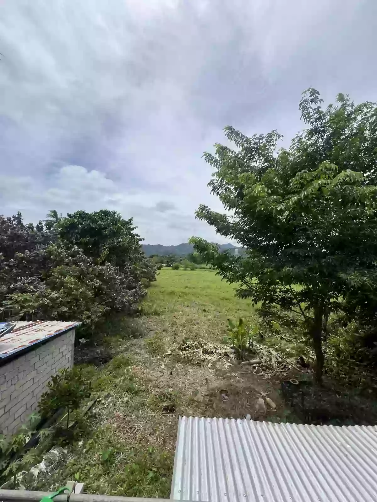 Residential — Residential Lot in Mainit, Surigao del Norte, Philippines — Photo 2