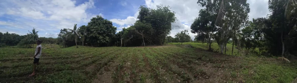 ORMOC FARM LOT FOR SALE — Agricultural Lot in Ormoc City, Leyte, Philippines — Photo 5