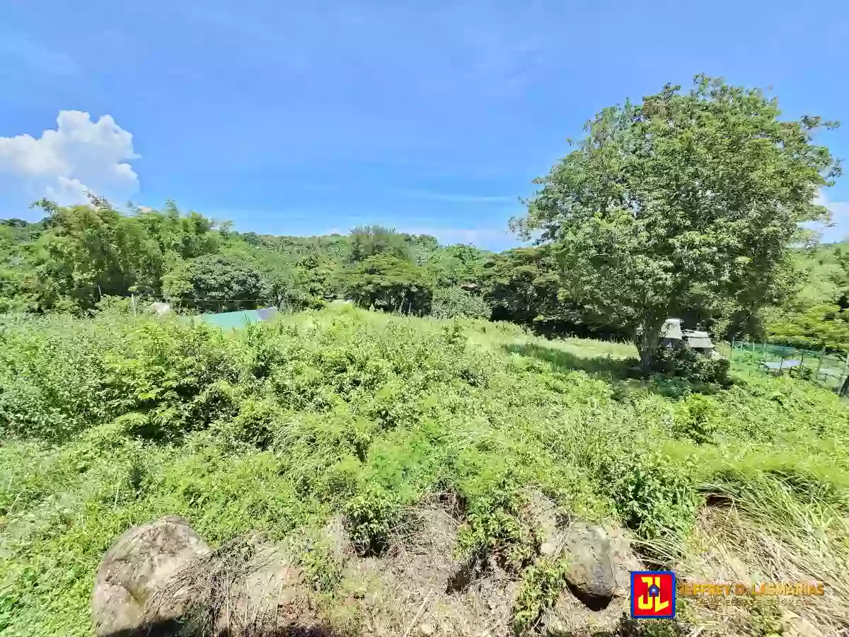 P5M discount! From P25M to P20M! Rush Sale Amazing House in Lotuban, Zamboanguita, Negros Oriental [available] — House and Lot in Zamboanguita, Negros Oriental, Philippines — Photo 5