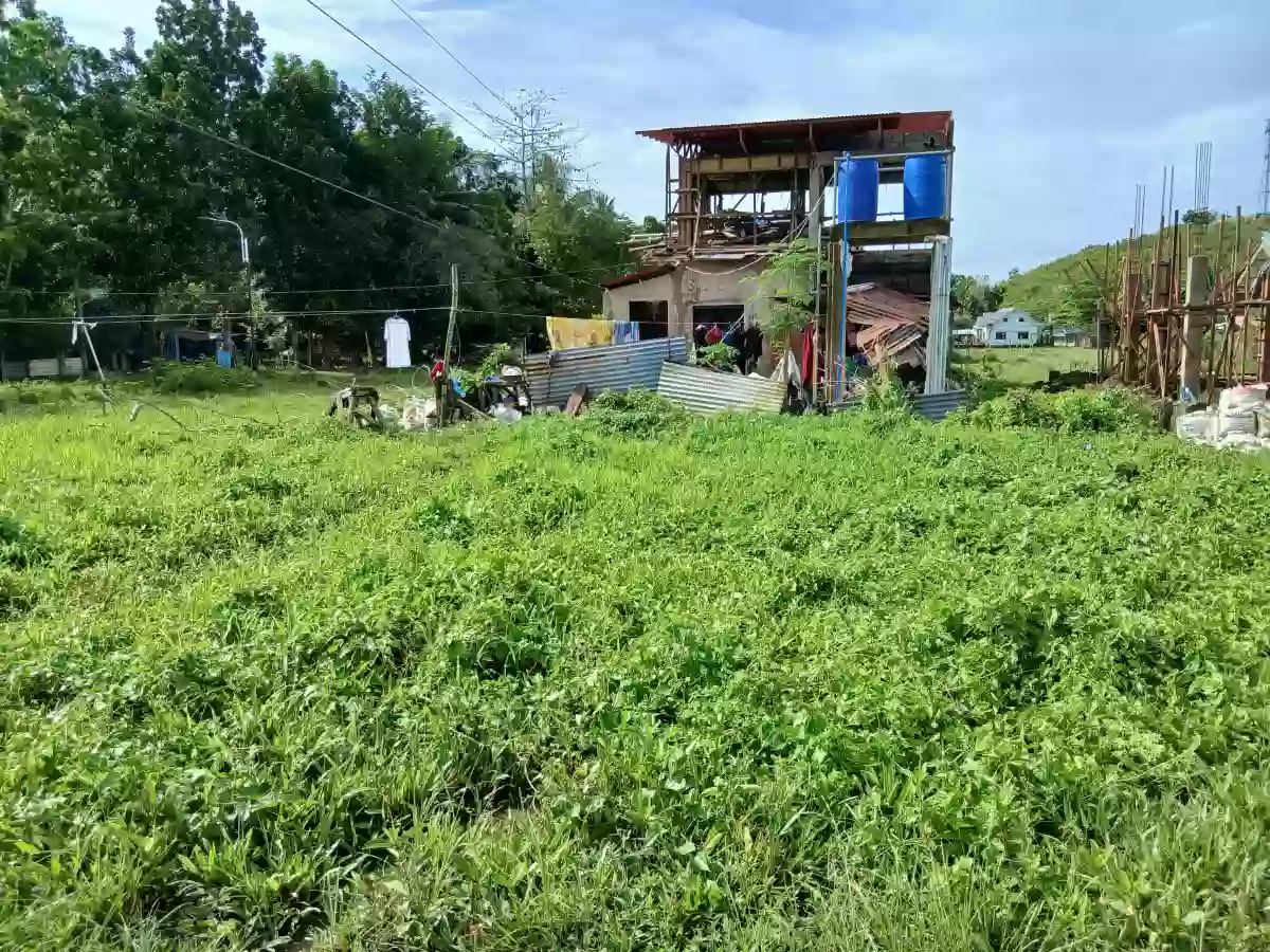 Residential Lot For Sale — Residential Lot in Sabang Danao City, Danao City, Cebu — Photo 3
