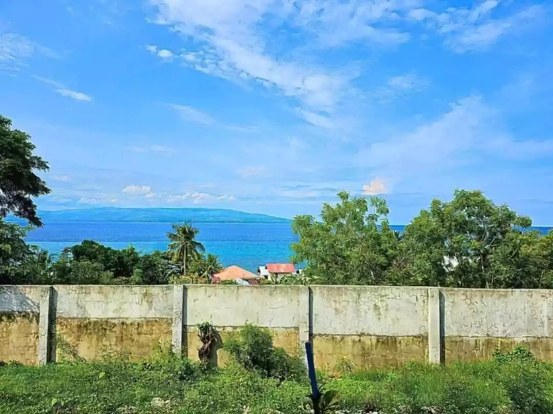 OVERLOOKING HOUSE FOR SALE IN SIBULAN WITH SEA VIEW — House and Lot in Negros Oriental, Philippines — Photo 6