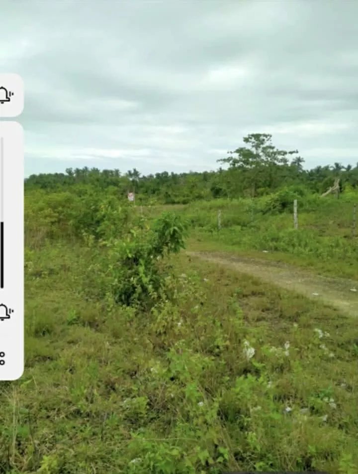 RESIDENTIAL LOT NEAR AIRPORT — Residential Lot in Bohol, Philippines — Photo 4