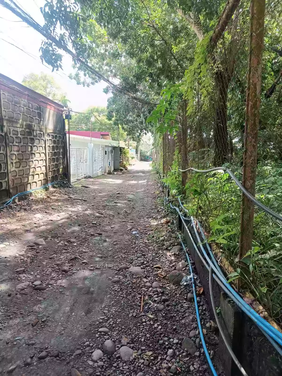 Residential lot for sale Domoit Lucena City clean title (Rush) cash or Installment — Residential Lot in Lucena, Quezon, Philippines — Photo 6