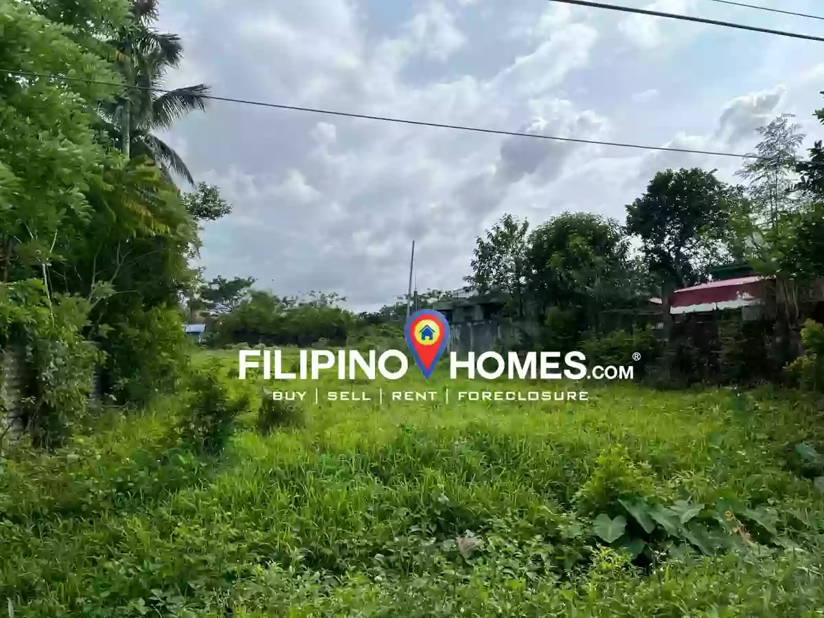 Modern Village Raw Lot — Agricultural Lot in San Jose, Pili, Camarines Sur — Photo 6