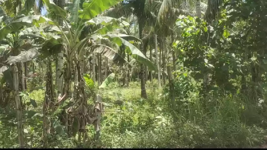 Prime Commercial/Residential Lot for Sale in Brgy. Ligaya, Antonino Street, General Santos! — Commercial Lot in General Santos City (Dadiangas), South Cotabato, Philippines — Photo 2