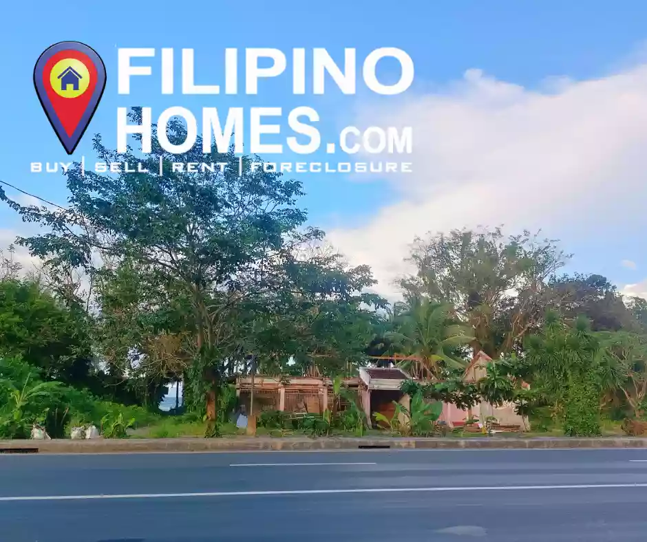 For sale Prime Commercial Lot with Beach Front Along National Highway Gate way to Bicol and Manila Located in Atimonan Quezon — Beach Lot in Quezon, Philippines — Photo 4