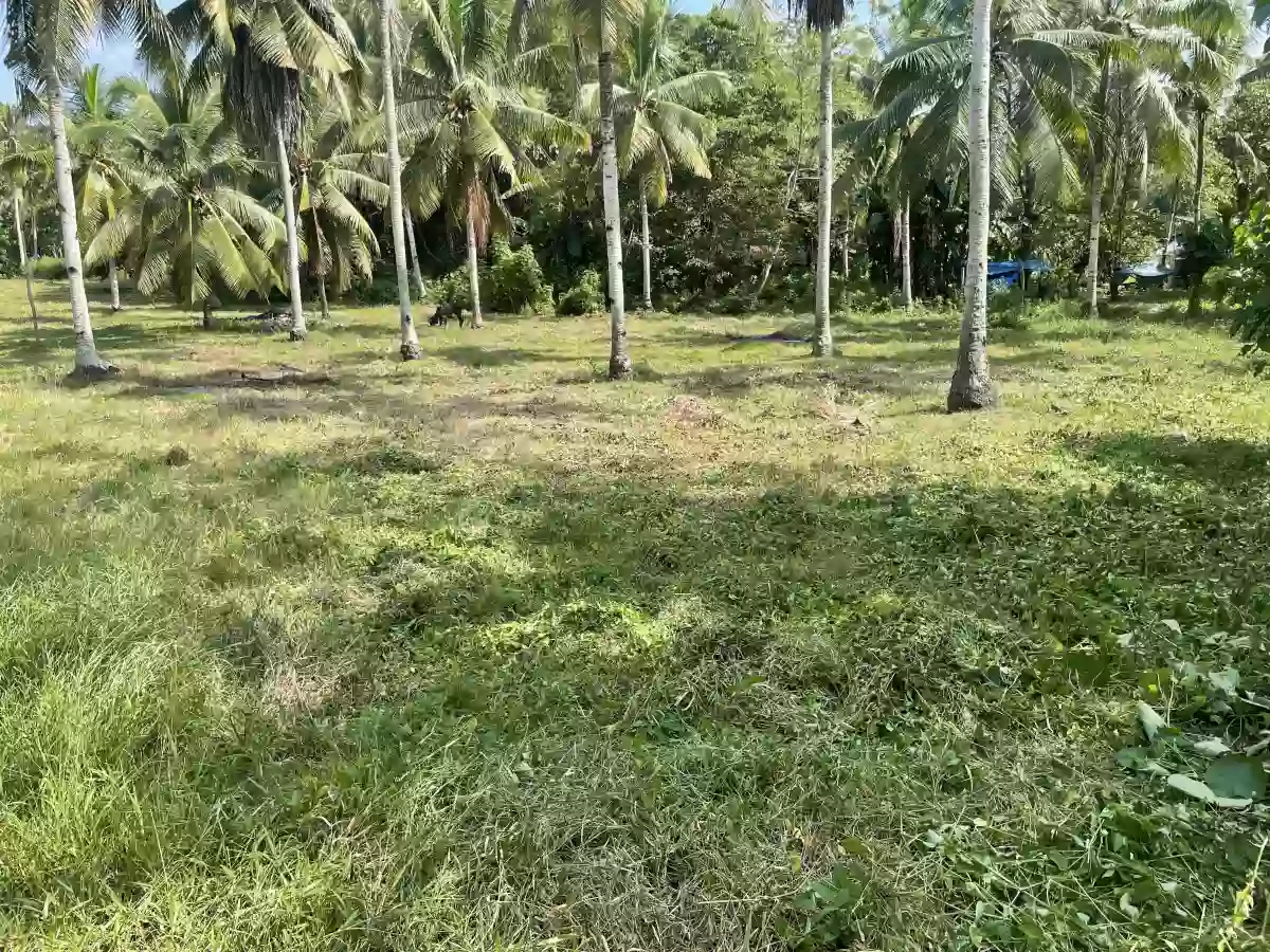 LOT FOR SALE SAMAL ISLAND — Residential Lot in Samal, Davao del Norte, Philippines — Photo 5