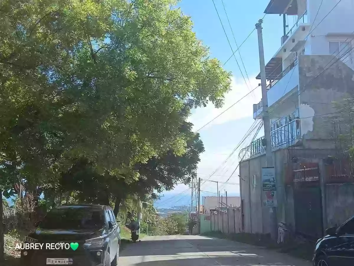 Overlooking 1,000 sqm Lot in Maghaway, Talisay City, Cebu — Residential Lot in Talisay, Cebu, Philippines — Photo 4