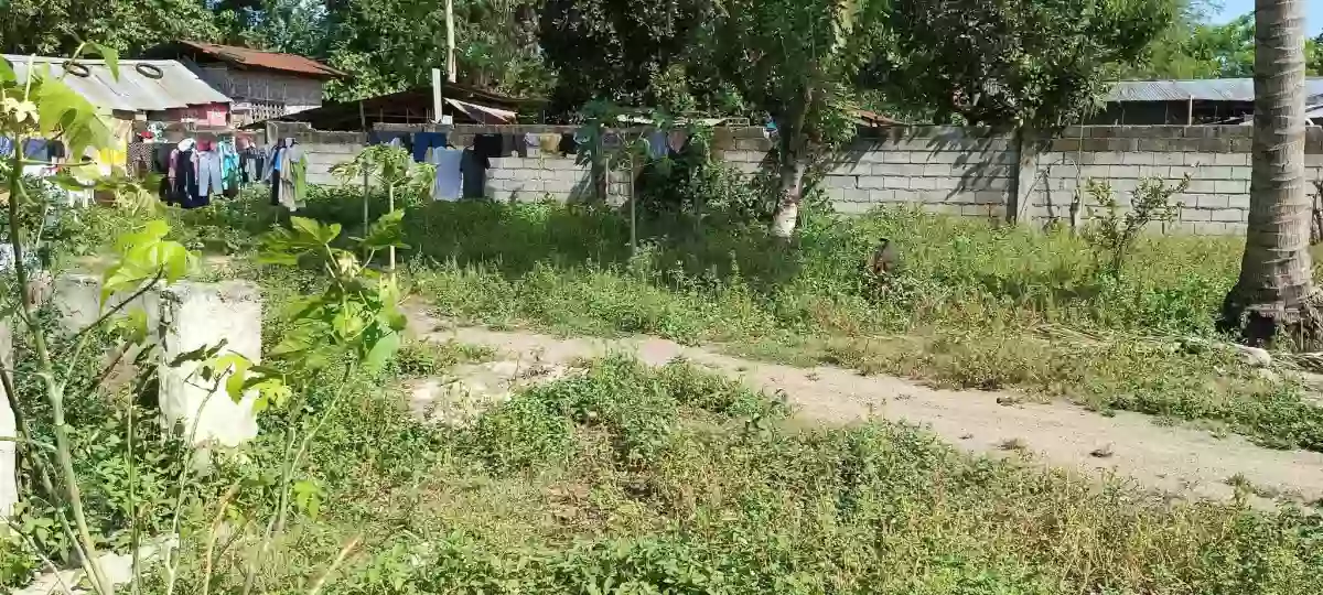 Lot for sale — Commercial Lot in Alabel, Sarangani, Philippines — Photo 4