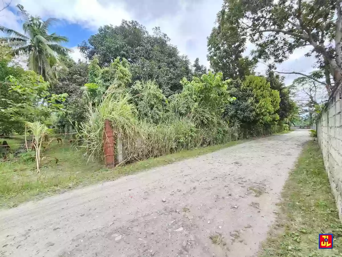 Rush Sale! Amazing Commercial Lot beside Airport Agan-an, Sibulan [available] — Commercial Lot in Negros Oriental, Philippines — Photo 4