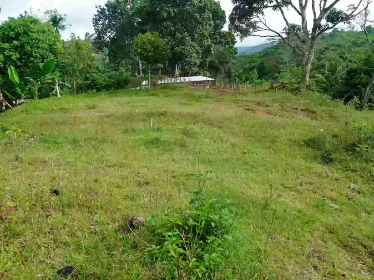 HOME LOT FOR SALE — Residential Lot in Sultan Kudarat, Philippines — Photo 6