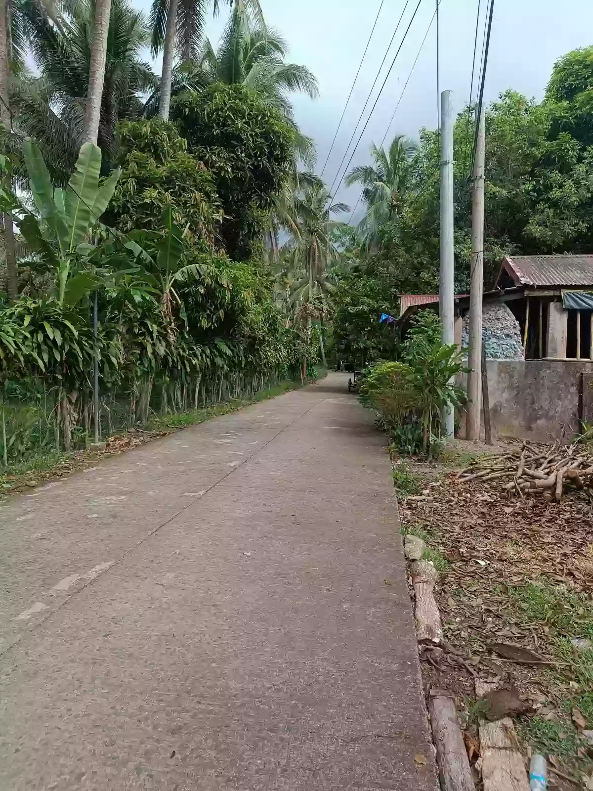 Residential Lot For Sale 607sq.m located in Ilosong Plaridel Quezon, Along Brgy. Road. — Residential Lot in Plaridel, Quezon, Philippines — Photo 2