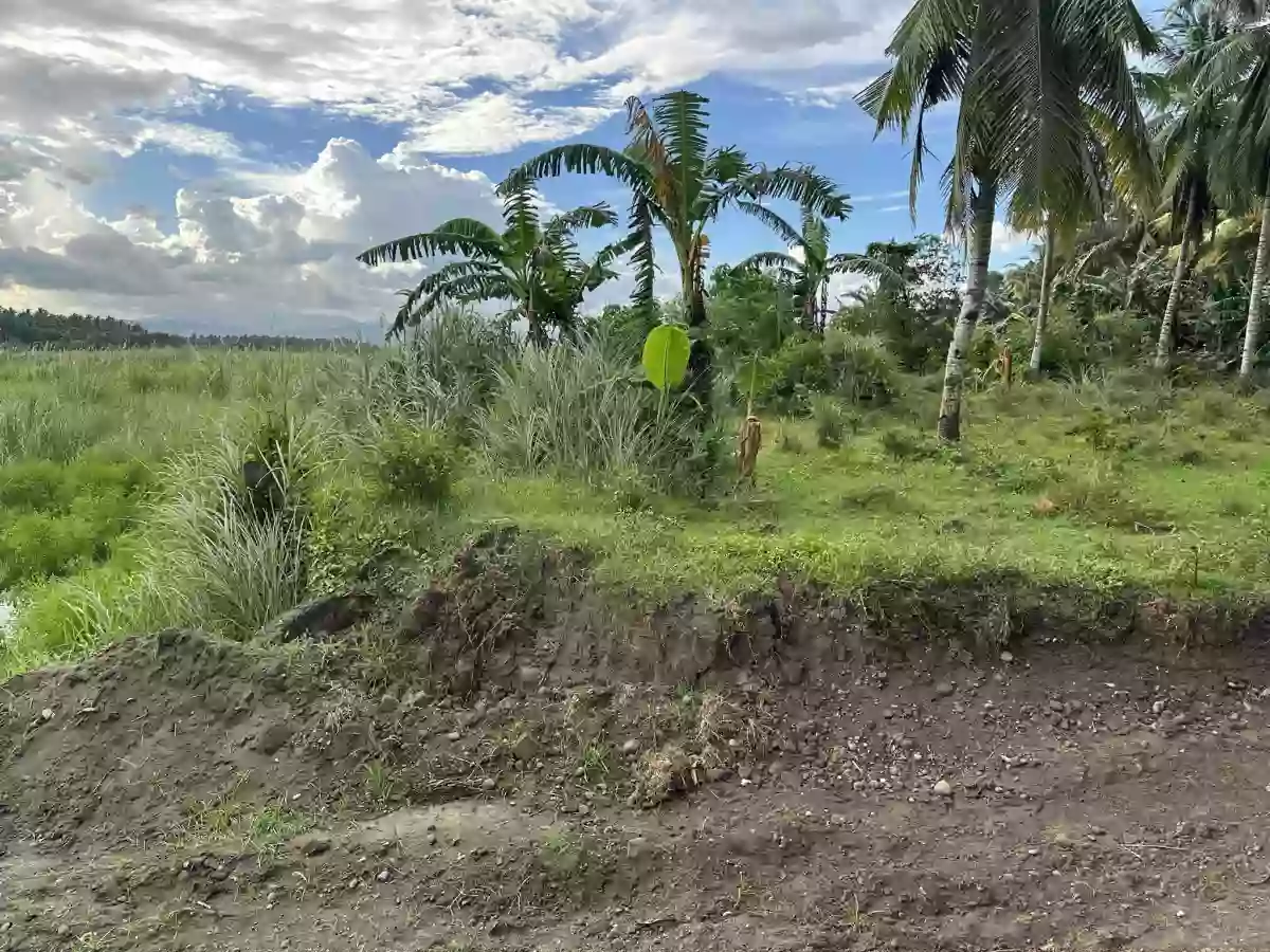Baluntay Alabel Lot for Sale Good for Quarrying — Agricultural Lot in Alabel, Sarangani, Philippines — Photo 2