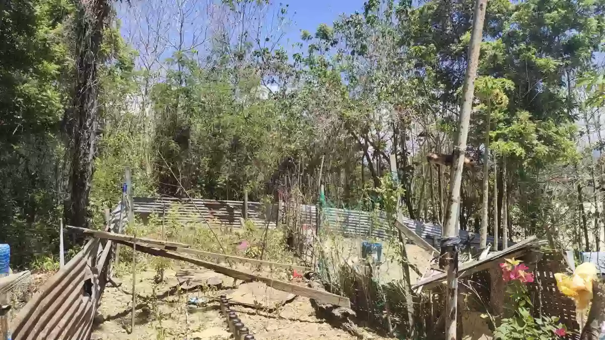 Residential Lot for Sale in Poblacion Liloan — Residential Lot in Liloan, Cebu, Philippines — Photo 2