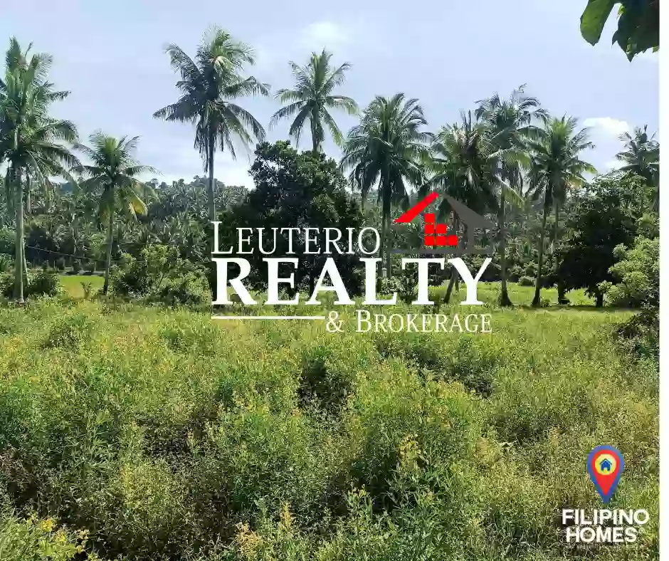 Agricultural Lot For sale Located in Brgy. Inalig Atimonan Quezon 5,815sqm — Agricultural Lot in Inalig Road, Atimonan, Quezon — Photo 2