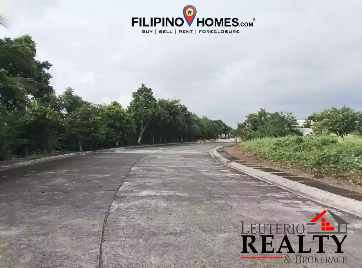 Residential Lot For Sale — Residential Lot in Naga City, Camarines Sur, Philippines — Photo 3