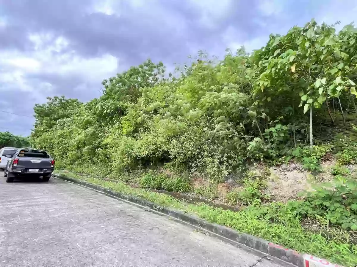 MARIA LUISA NORTH HERITAGE MANDAUE RESIDENTIAL LOT — Residential Lot in The Heritage Front Gate, Consolacion, Cebu — Photo 4