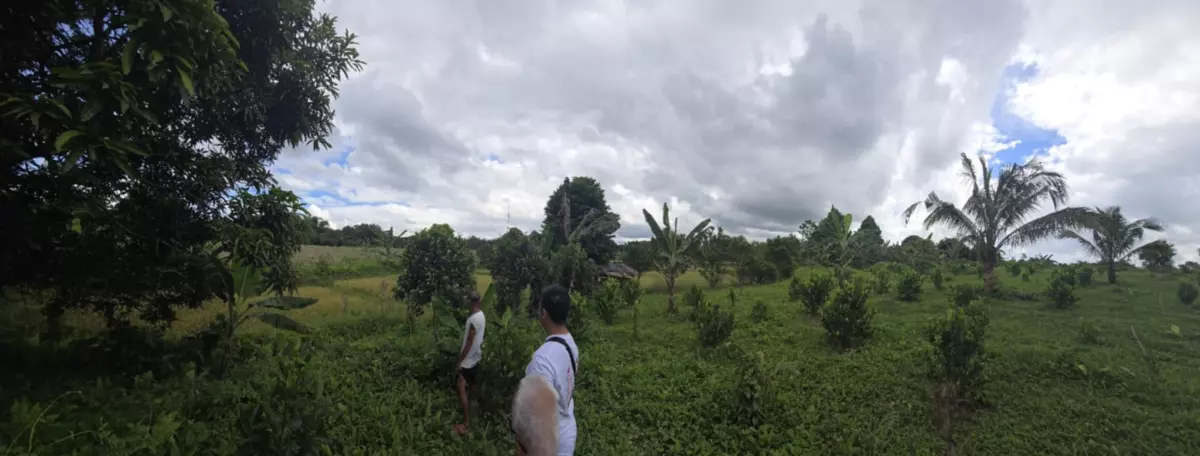 ORMOC FARM LOT FOR SALE — Agricultural Lot in Ormoc City, Leyte, Philippines — Photo 2
