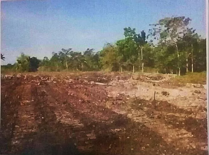 Lot For Sale in Panglao, Bohol — Agricultural Lot in Panglao, Bohol, Philippines — Photo 4