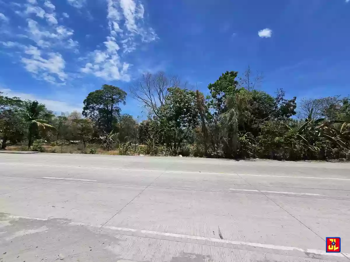 Commercial Lot For Sale Along Diversion Road Magatas, Sibulan [available] — Commercial Lot in Sibulan, Diversion Road, Sibulan — Photo 4