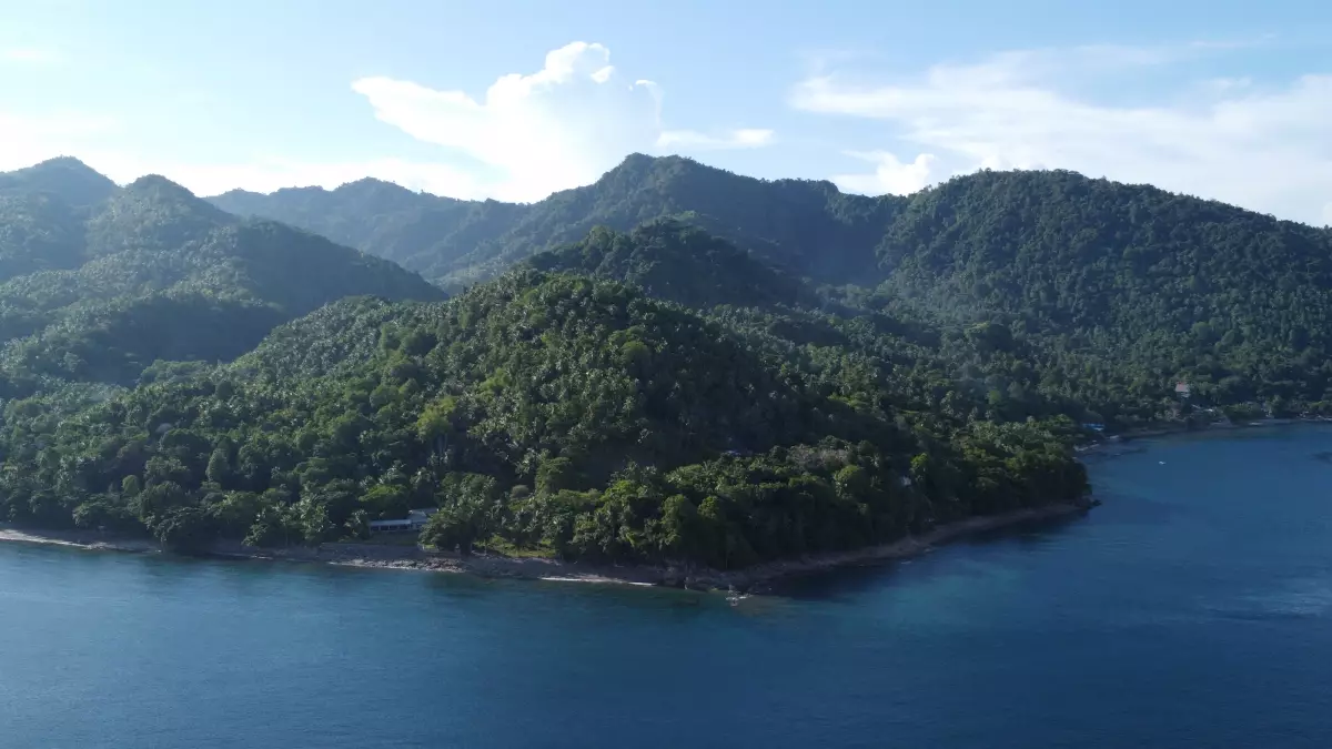 Exclusive Beachfront Property in Samal: Your Private Paradise Awaits