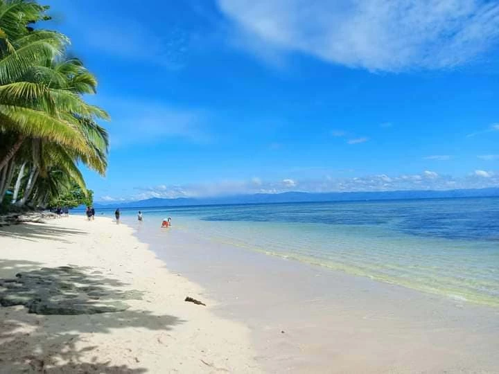 OWN THIS BEAUTIFUL PANARAGA BEACH — Beach Lot in Unnamed Road, Barobo, Surigao del Sur — Photo 2