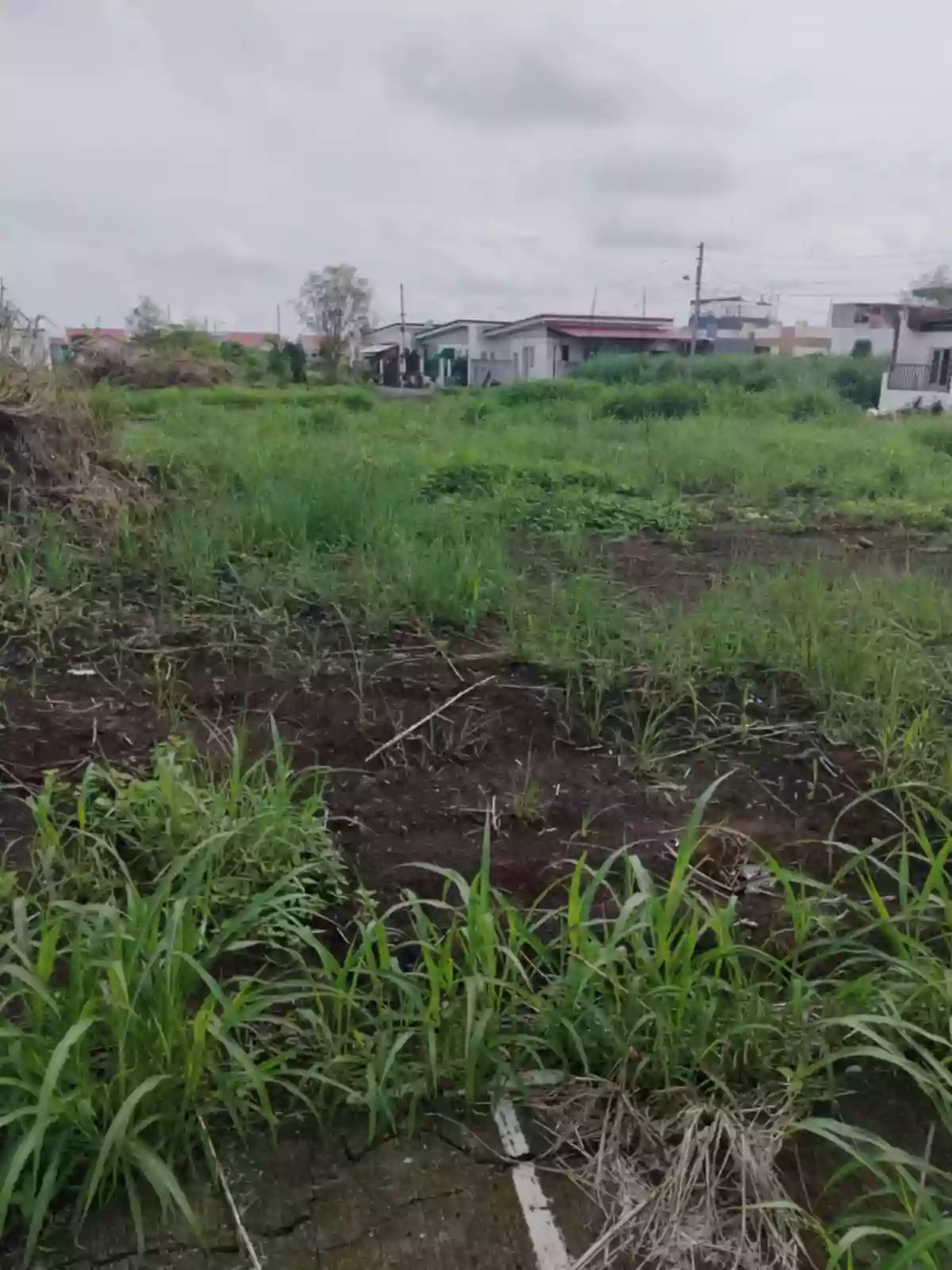RESIDENTIAL LOT — Residential Lot in Pili, Camarines Sur, Philippines — Photo 5