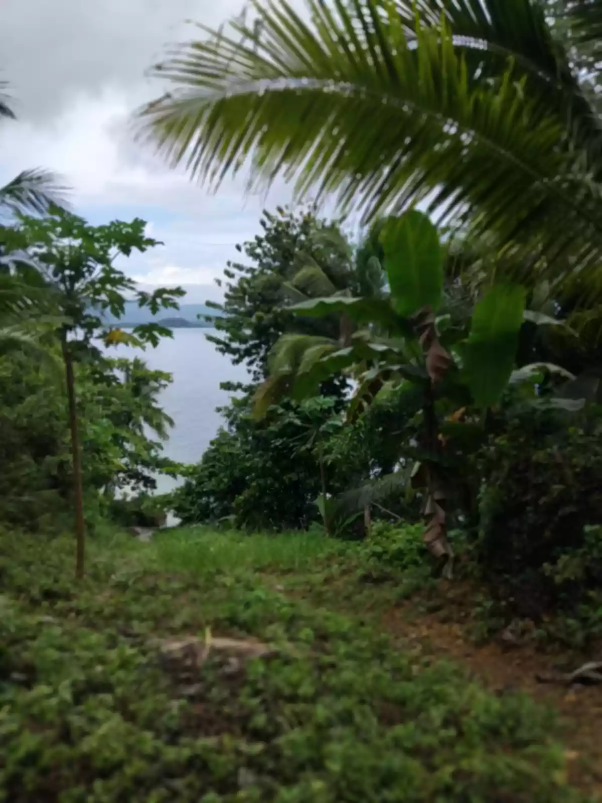 Beach Front Property For Sale (Sipalay) — Beach Lot in Sipalay City, Negros Occidental, Philippines — Photo 5