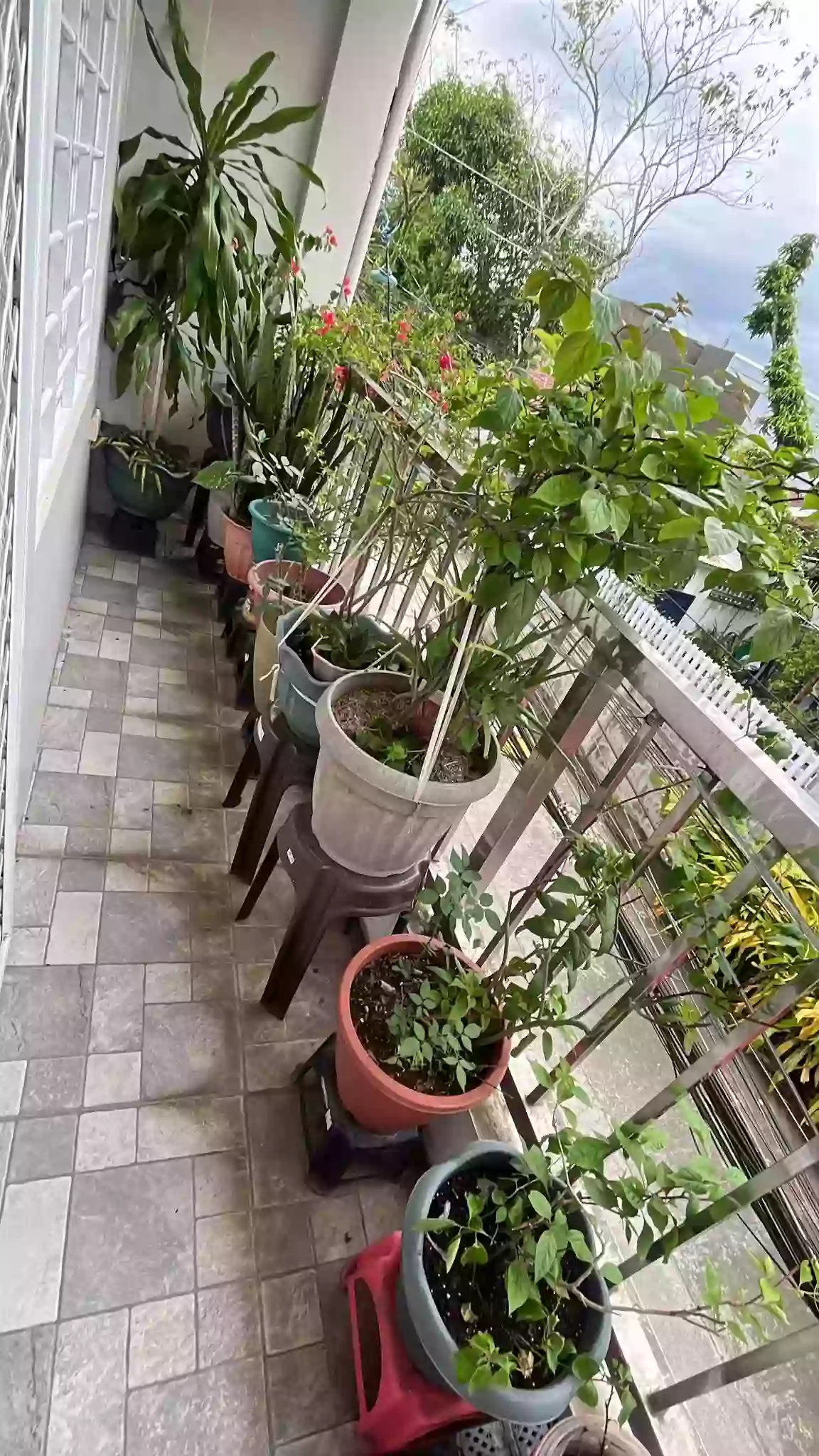 Open photo 13 of 18 — House and Lot for Sale. Loc. San Andres Subd. Liboton Naga City