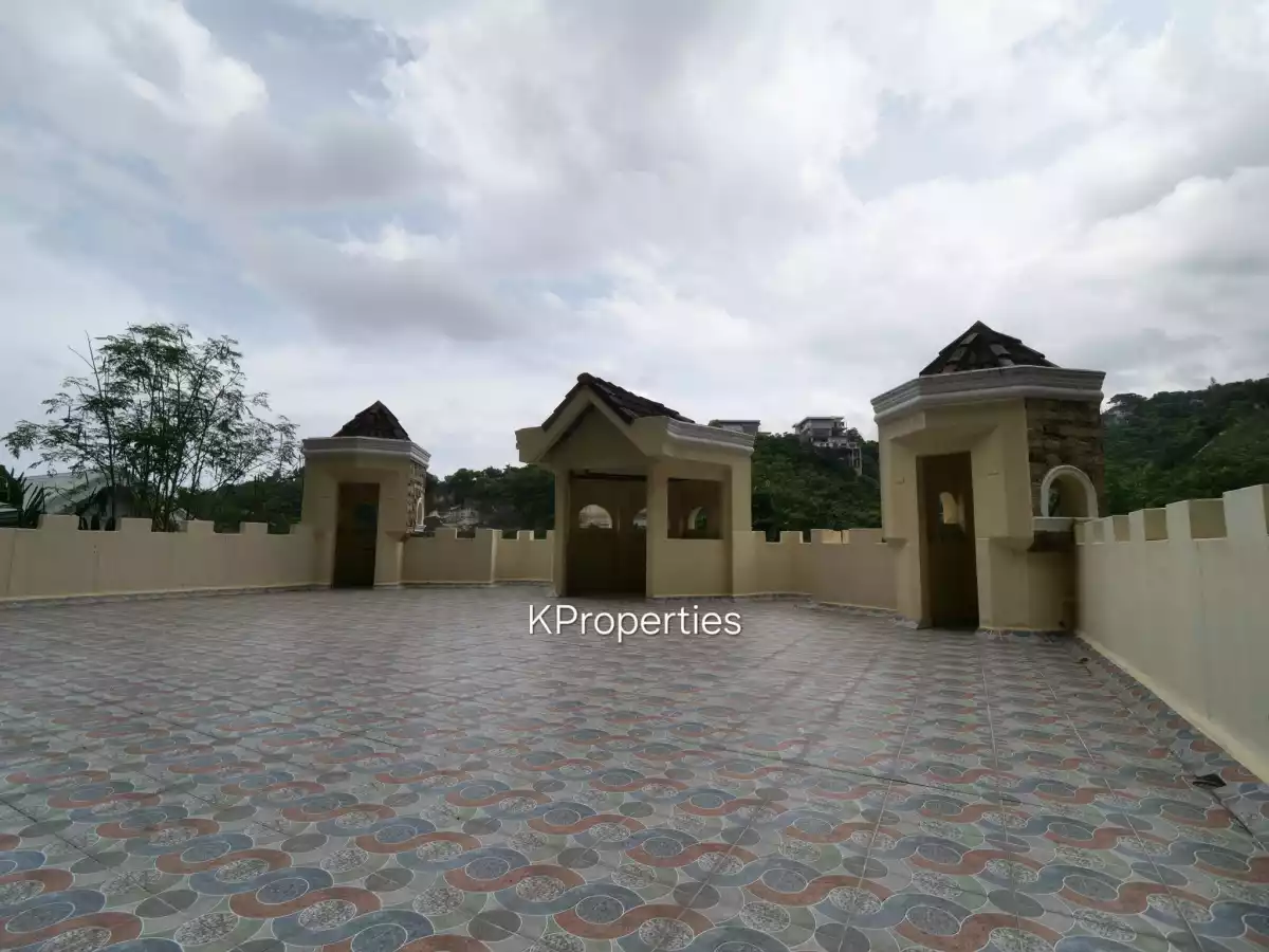 Castle House Maria Luisa — House and Lot in Cebu City, Cebu, Philippines — Photo 3