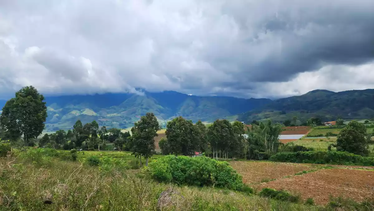 1.6 hectares Farm Lot for Sale in Basak, Lantapan, Bukidnon — Agricultural Lot in Lantapan, Bukidnon, Philippines — Photo 6