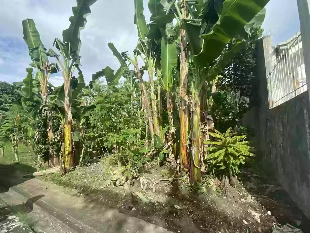 144 SQM Residential Lot For Sale — Residential Lot in Naga City, Camarines Sur, Philippines — Photo 2