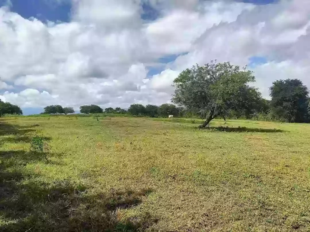 T-9965 — Agricultural Lot in Sarangani, Philippines — Photo 2