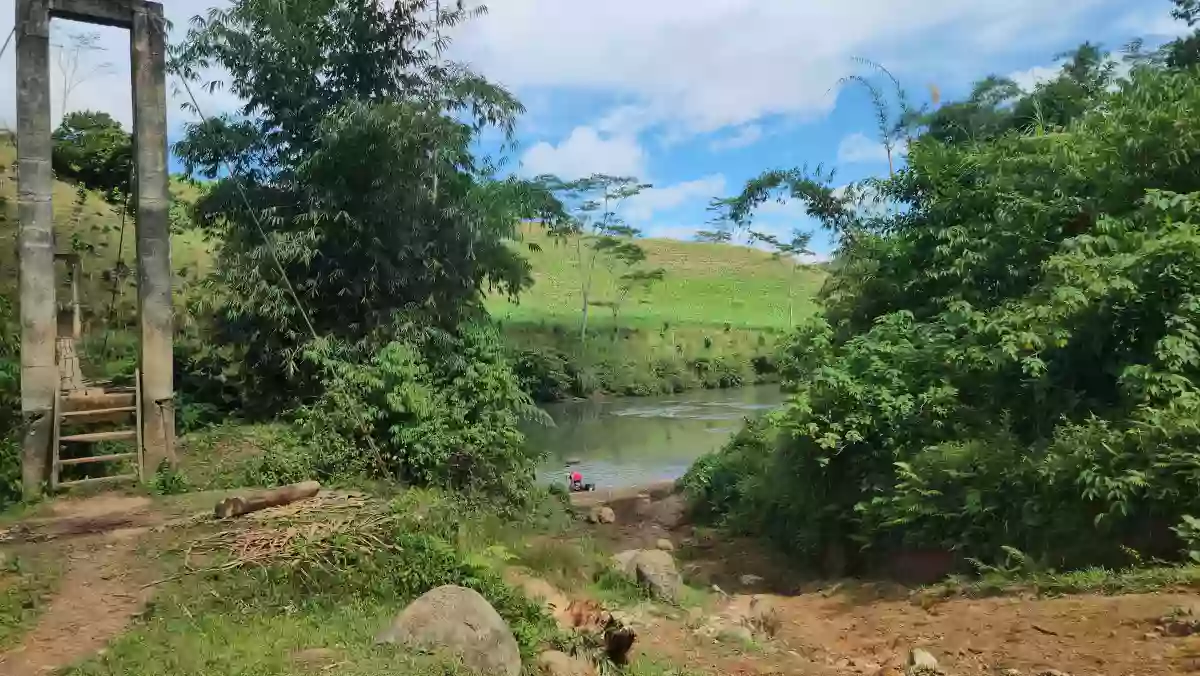 1.7 hectares Farm Lot for Sale in San Rafael, Talakag, Bukidnon — Agricultural Lot in Talakag, Bukidnon, Philippines — Photo 3