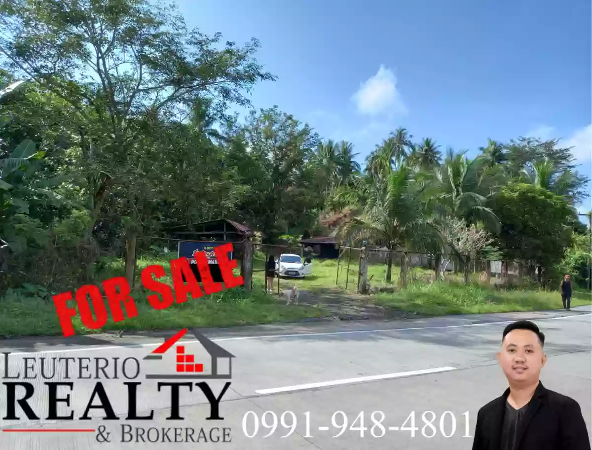 20,000 SQ.M. (Agricultural/Residential/Industrial) LOT