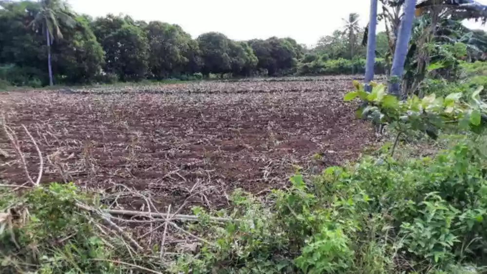LOT FOR SALE IN SAN REMIGIO,CEBU — Residential Lot in Philippines — Photo 3